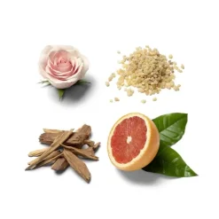 Homme Brioni                Eau de Parfum Éclat