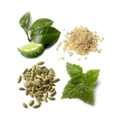 Homme Brioni                Eau de Parfum Essentiel