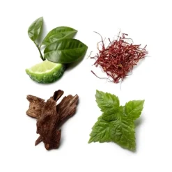 Homme Brioni                Eau de Parfum Intense