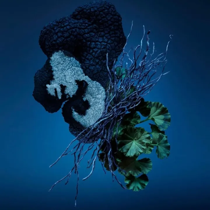 Homme Carolina Herrera Bad Boy Cobalt Eau de Parfum Electrique