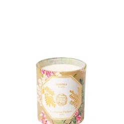 Carrière Frères Acacia - Robinia                Bougie Parfumée