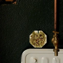 Carrière Frères Cyprès - Cupressus                Palet Botanique