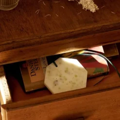 Carrière Frères Cyprès - Cupressus                Palet Botanique