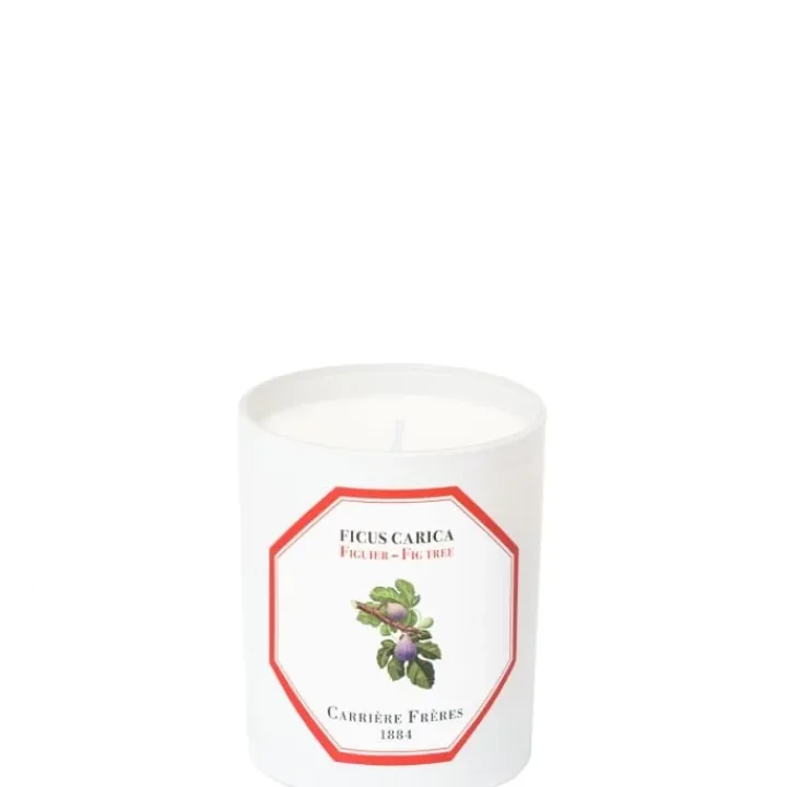 Carrière Frères Figuier - Ficus Carica Bougie Parfumée