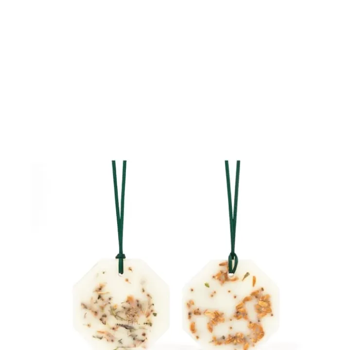 Carrière Frères Fleur d'Oranger - Citrus Dulcis Palet Botanique