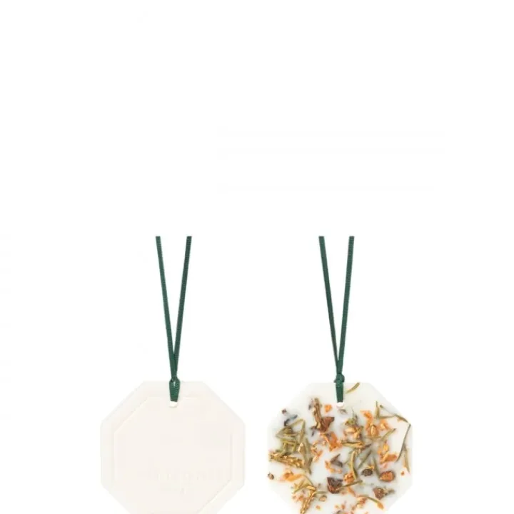 Carrière Frères Forêt d'Hiver Palet Botanique