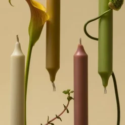 Carrière Frères Herbes & Plantes                Chandelle Parfumée