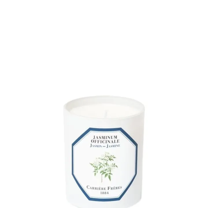 Carrière Frères Jasmin - Jasminum Officinale Bougie Parfumée