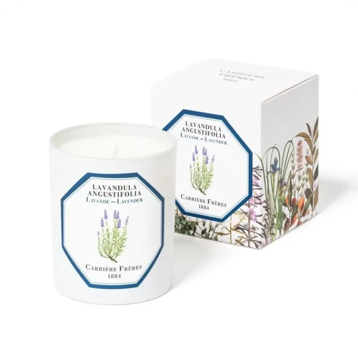 Carrière Frères Lavande - Lavandula Angustifolia Bougie Parfumée