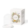Carrière Frères Le Dome - Socle & Cloche                Coffret Accessoires