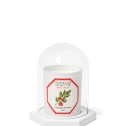 Carrière Frères Le Dome - Socle & Cloche                Coffret Accessoires