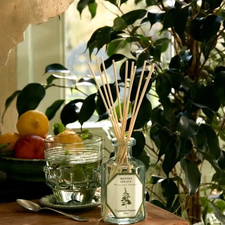 Carrière Frères Menthe Verte - Mentha Spicata Diffuseur de Parfum