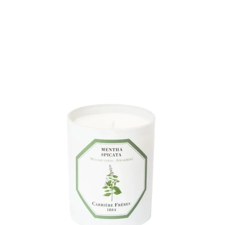 Carrière Frères Menthe Verte - Mentha Spicata Bougie Parfumée
