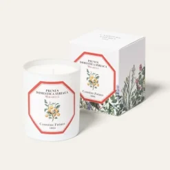 Carrière Frères Mirabelle - Prunus Domestica Syrica                Bougie Parfumée