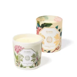 Carrière Frères Plumeria - Frangipanier                Recharge Bougie Parfumée