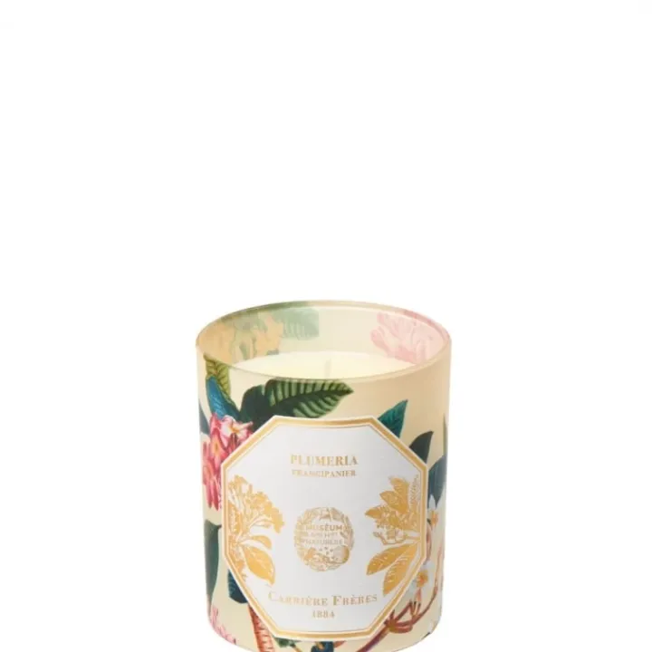 Carrière Frères Plumeria - Frangipanier Bougie Parfumée