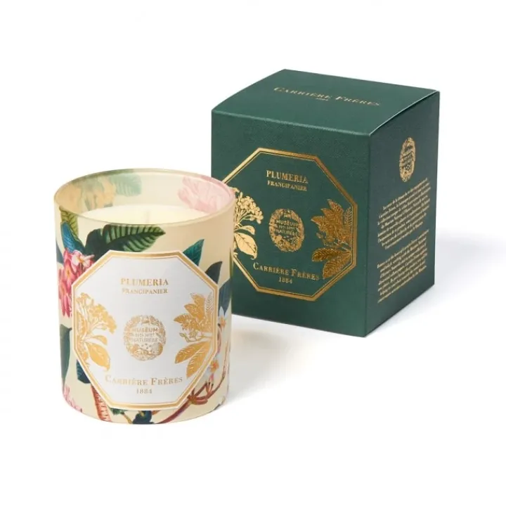 Carrière Frères Plumeria - Frangipanier Bougie Parfumée