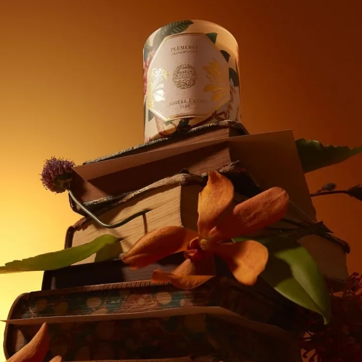 Carrière Frères Plumeria - Frangipanier Bougie Parfumée