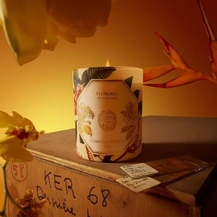 Carrière Frères Plumeria - Frangipanier Bougie Parfumée