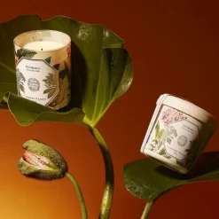 Carrière Frères Plumeria - Frangipanier Bougie Parfumée