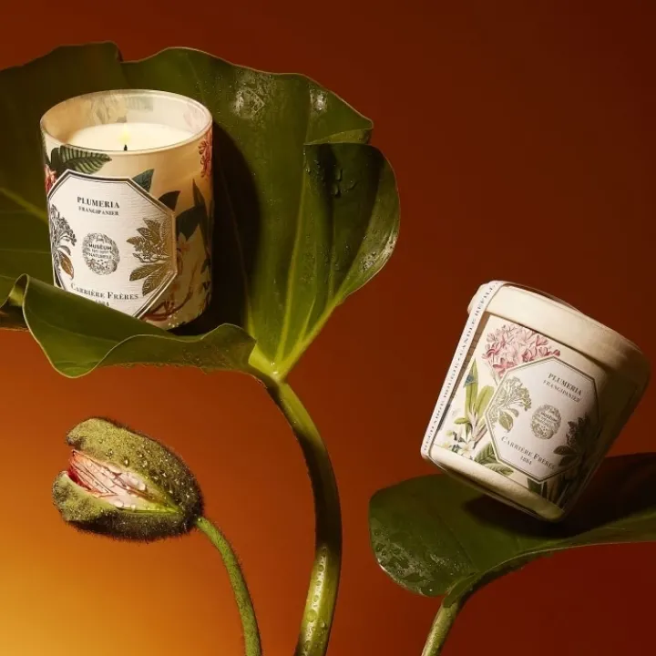 Carrière Frères Plumeria - Frangipanier Bougie Parfumée