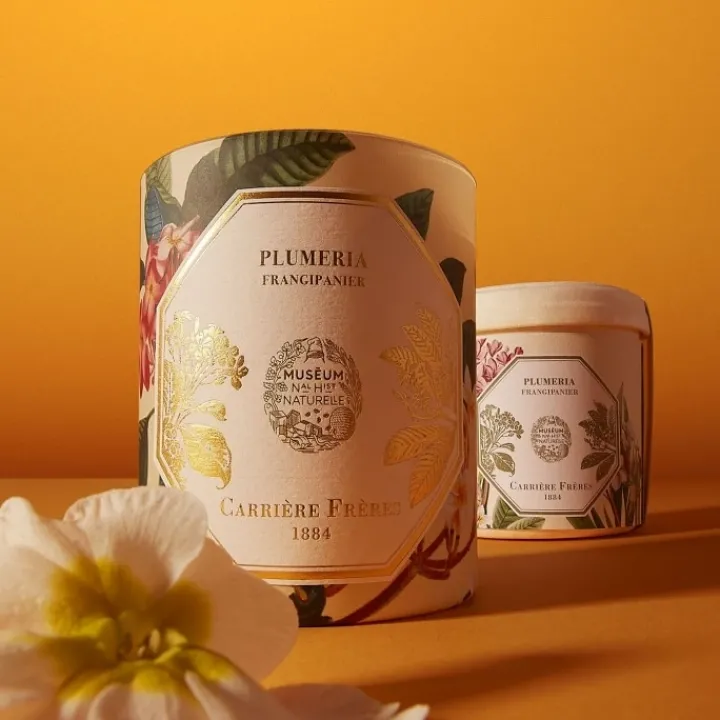 Carrière Frères Plumeria - Frangipanier Bougie Parfumée