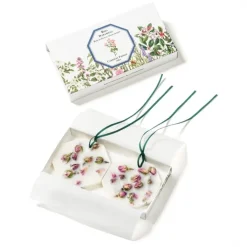 Carrière Frères Rose de Damas - Rosa Damascena                Palet Botanique