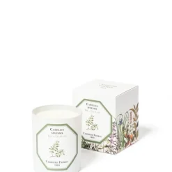 Carrière Frères Thé - Camelia Sinensis                Bougie Parfumée