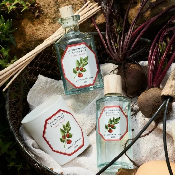 Carrière Frères Tomate - Lycopersicon Esculentum Diffuseur de Parfum