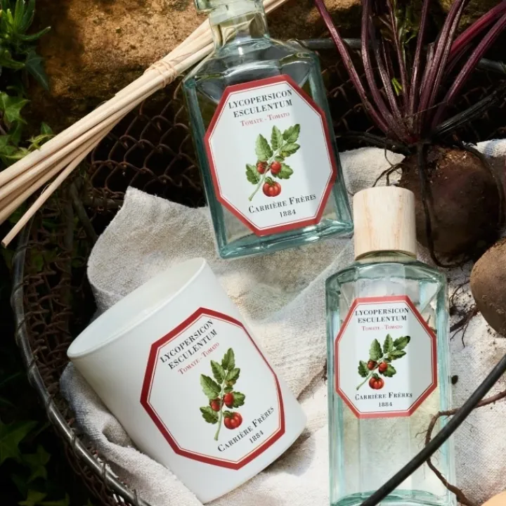 Carrière Frères Tomate - Lycopersicon Esculentum Diffuseur de Parfum