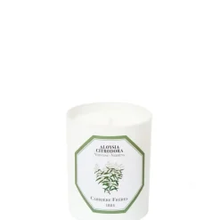 Carrière Frères Verveine - Aloysia Citrodora                Bougie Parfumée