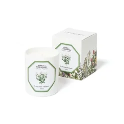 Carrière Frères Verveine - Aloysia Citrodora                Bougie Parfumée
