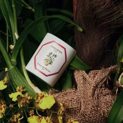 Carrière Frères Yuzu - Citrus Junos                Bougie Parfumée