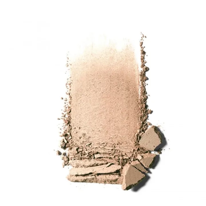 CLINIQUE Stay-Matte Sheer Pressed Powder Poudre Transparente Haute Matité