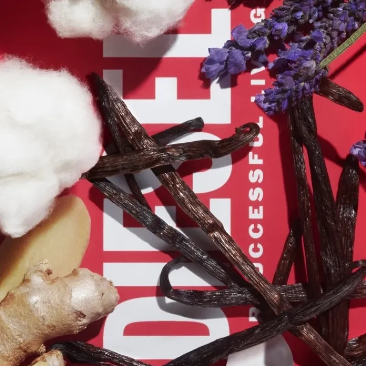 Homme Diesel D by Eau de Toilette - Flacon Recharge