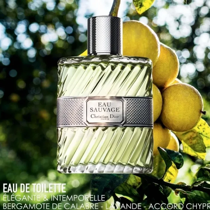 Homme DIOR Eau Sauvage Eau de Toilette