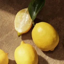 Homme Dolce&Gabbana Devotion pour Homme Eau de Parfum