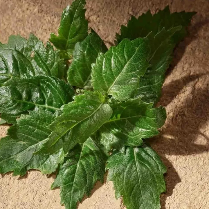 Homme Dolce&Gabbana Devotion pour Homme Eau de Parfum