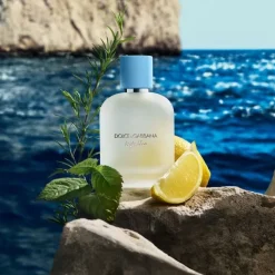 Homme Dolce&Gabbana Dolce & Gabbana Light Blue pour Homme Eau de Toilette