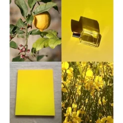 Elisire Eau Papaguéna                Extrait de Parfum