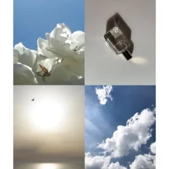 Elisire Jasmin Paradis Extrait de Parfum