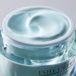 ESTEE LAUDER DayWear                Crème Hydratation 24h Multi-Protection Anti-Oxydant SPF 15 Pour Peaux Normales/Mixtes