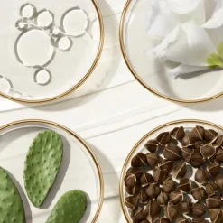 ESTEE LAUDER Revitalizing Supreme+                Crème Délicate Révélatrice de Jeunesse