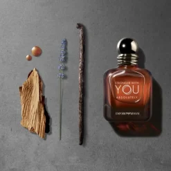 Homme GIORGIO ARMANI Emporio Armani Stronger With You Absolutely                Parfum