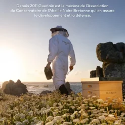 GUERLAIN Abeille Royale                Baume Réparateur Jeunesse Des Mains