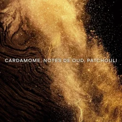 GUERLAIN Absolus Allegoria Epices Exquises                Eau de Parfum