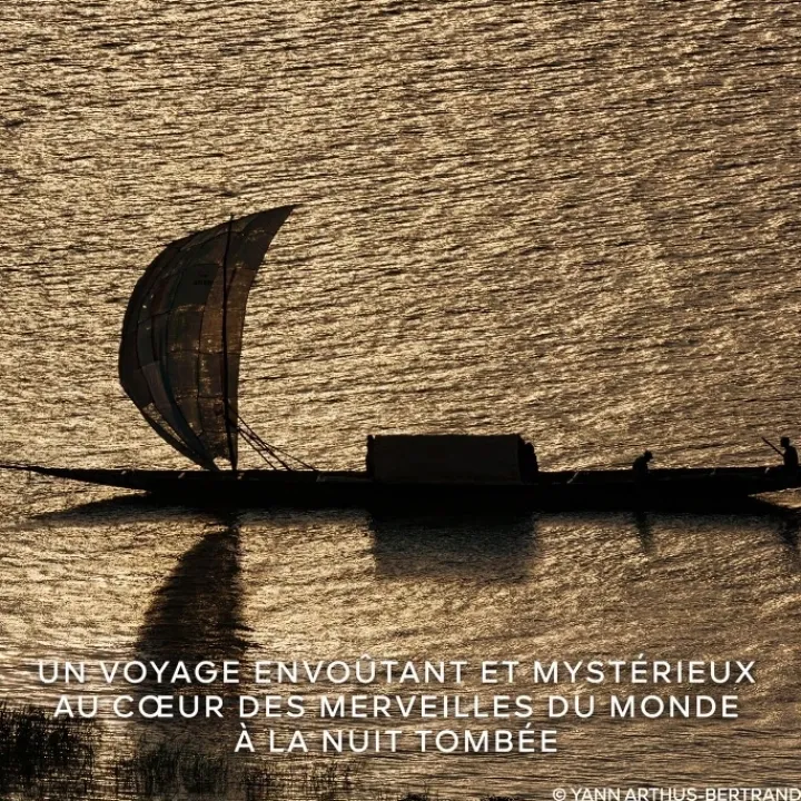 GUERLAIN Absolus Allegoria Rose Amira Eau de Parfum