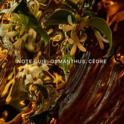 GUERLAIN Absolus Allegoria Cuir Intense                Eau de Parfum