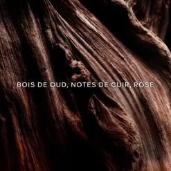 GUERLAIN Absolus Allegoria Oud Essentiel                Eau de Parfum