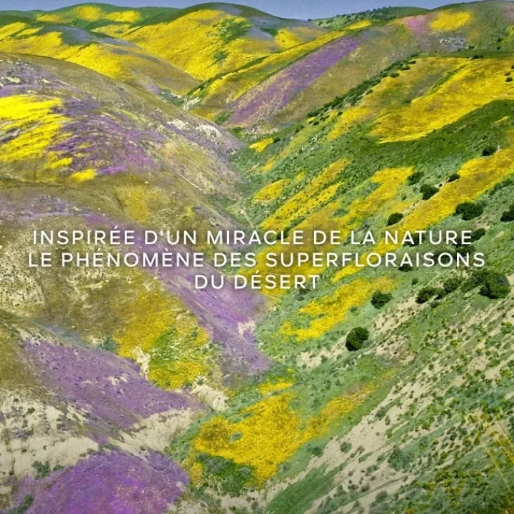 Femme GUERLAIN Aqua Allegoria Florabloom Eau de Toilette